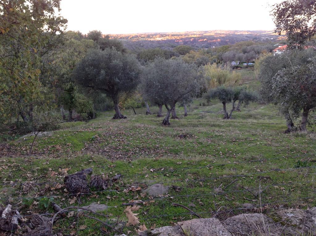 Refugio Da Maceira Villa Marvao  Bilik gambar