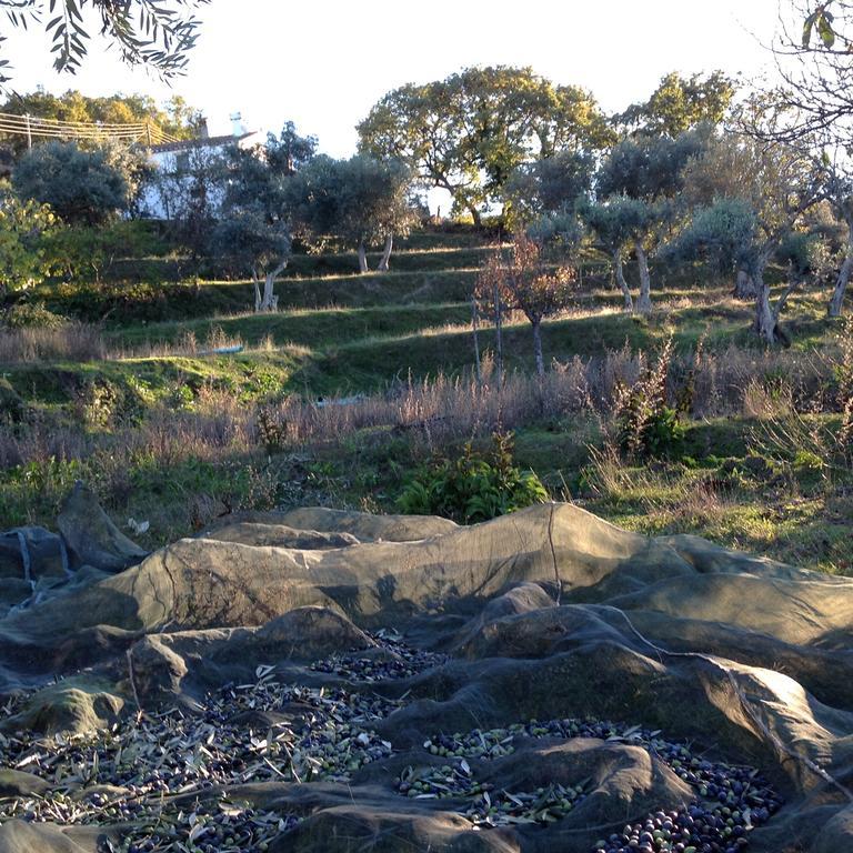 Refugio Da Maceira Villa Marvao  Bilik gambar
