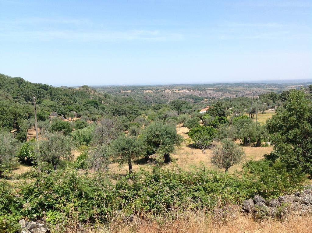 Refugio Da Maceira Villa Marvao  Luaran gambar